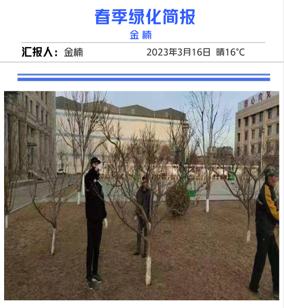 春季修剪好時節(jié)，園林工人修剪忙