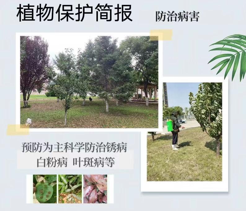 園林綠化植物保護(hù)簡報(bào)
